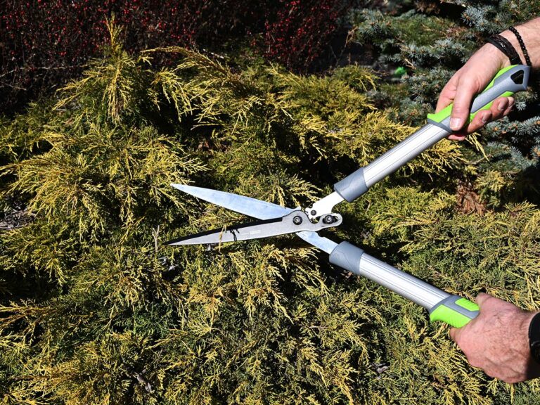 Read more about the article Przywitaj wiosnę z nowymi nożycami i sekatorami do ogrodu!