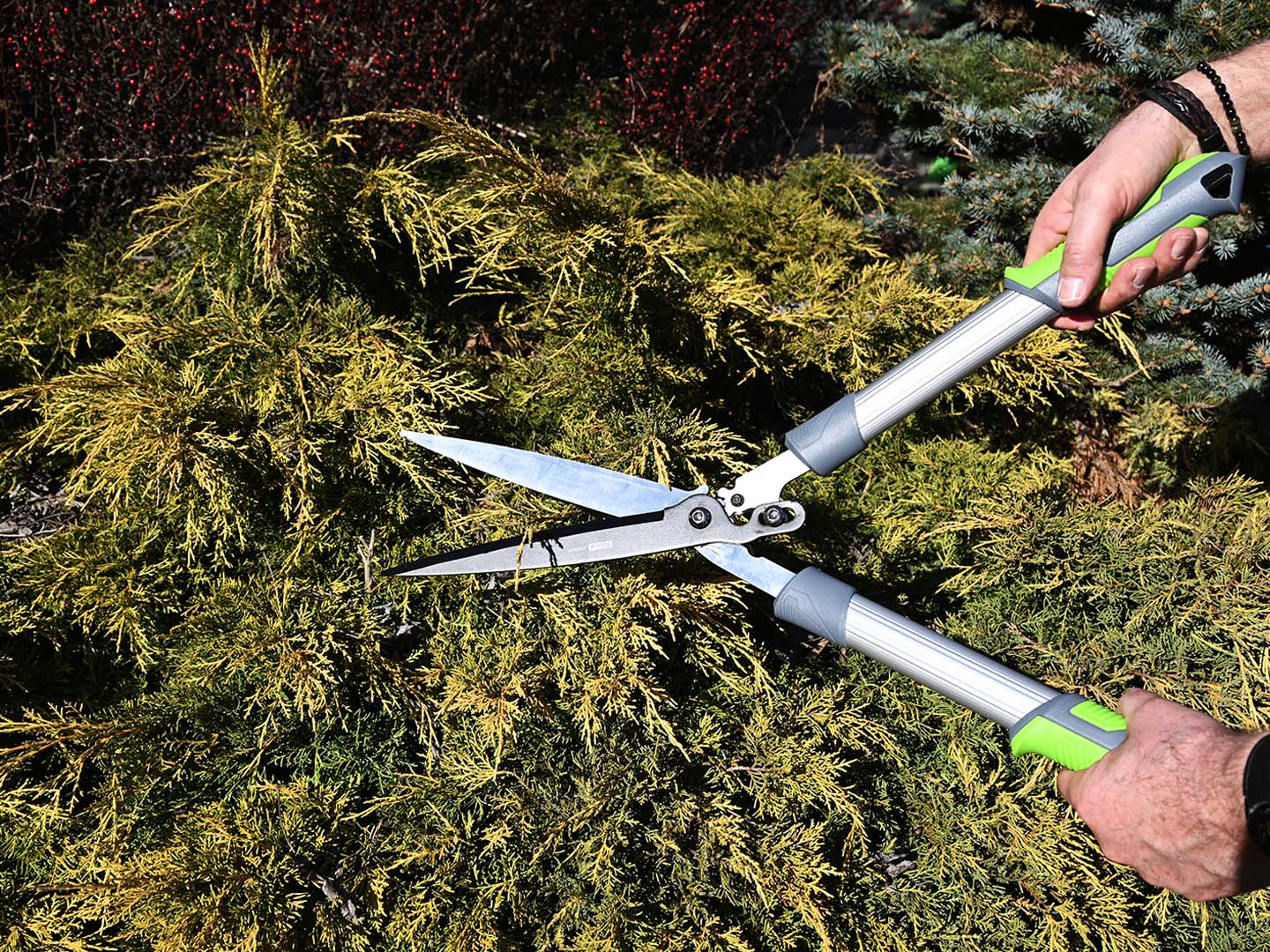 Read more about the article Przywitaj wiosnę z nowymi nożycami i sekatorami do ogrodu!